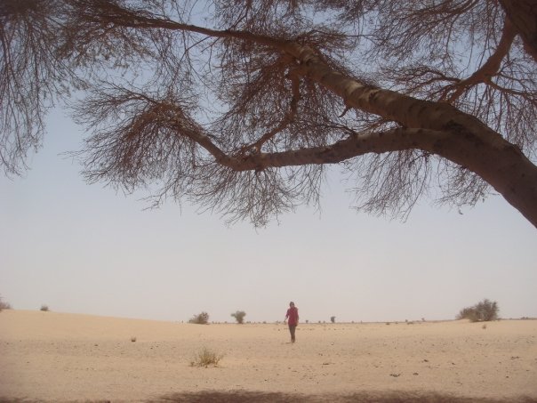 Nomadic life in the Bayuda desert of Sudan