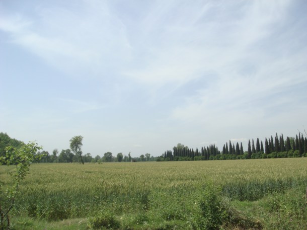 pakistan-countryside (12) Pakistan countryside around Peshawar