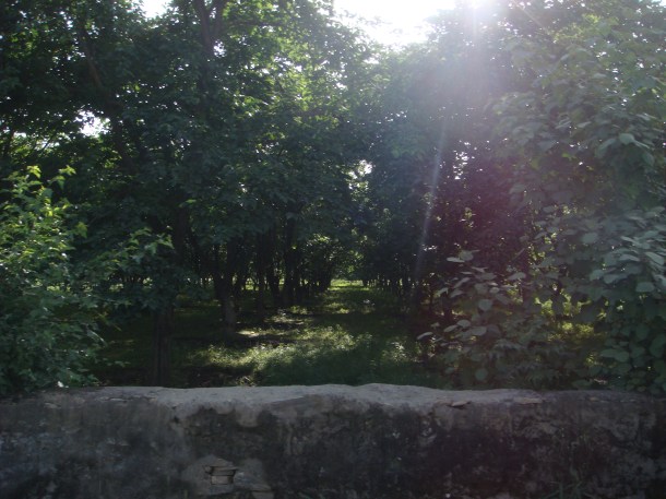 pakistan-countryside (19) Pakistan countryside around Peshawar