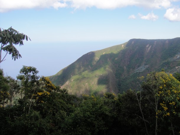 Parque Nacional El Avila, Venezuela 