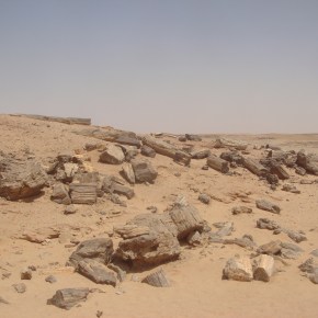 Petrified Forest, Sudan