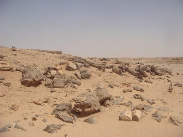 petrified forest sudan
