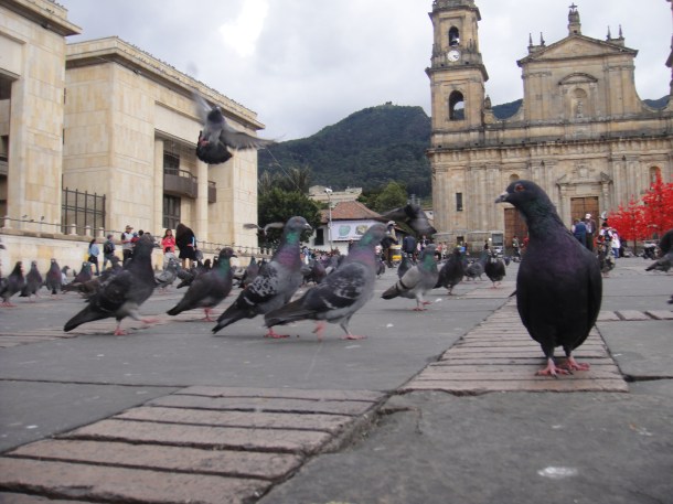 Pigeon view of Plaza Bolivar