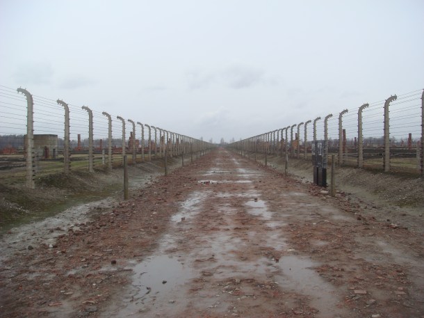The road to the gas chambers at Birkenau