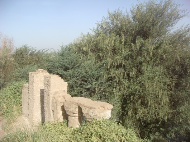royal-palace-ruins-kerma-sudan