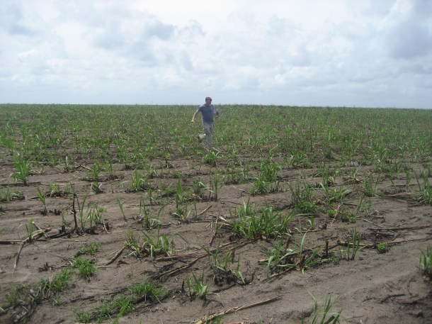 Justin Ames running away from killer bees in Brazil