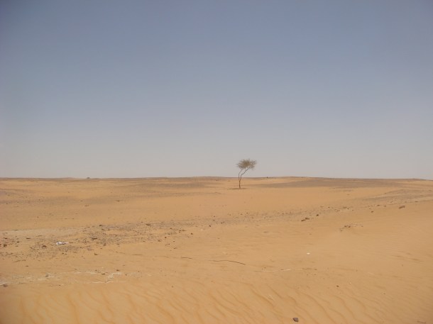 The desert of Sudan