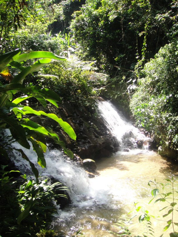Venezuela's First Hydroelectric Project