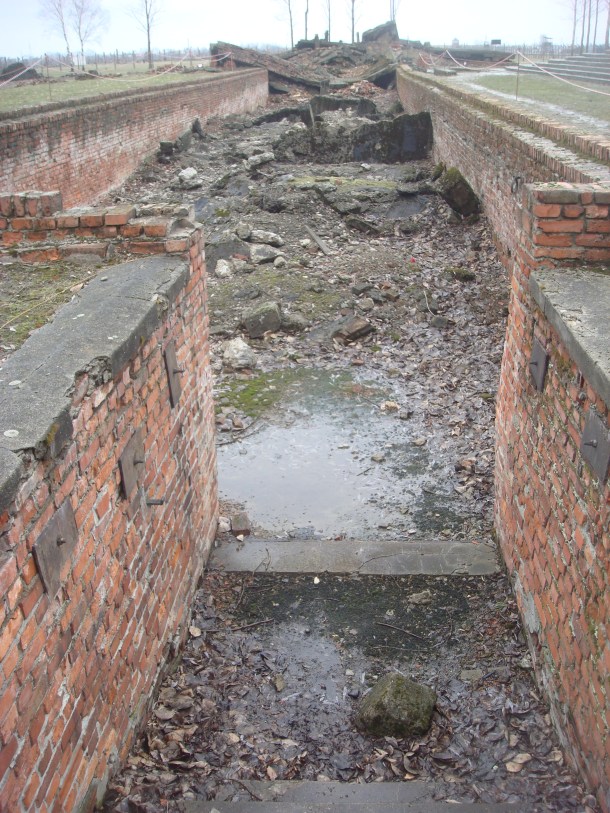 View of gas chamber