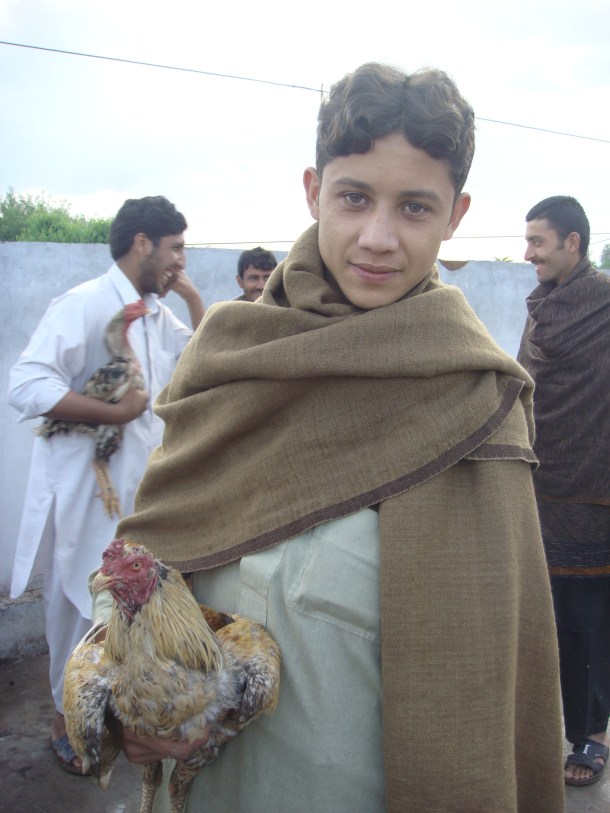 bird fighting pakistan