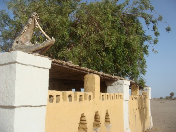 crocodile-head-sudan