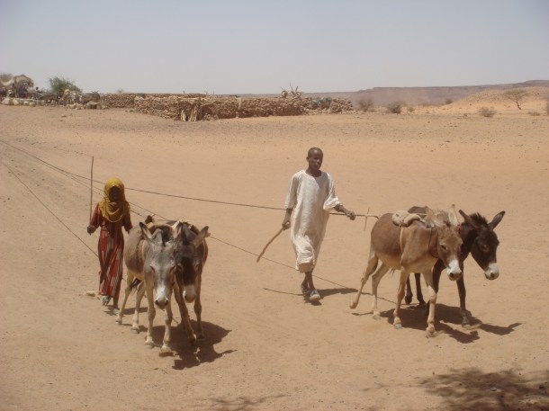 desert well used by nomads in naga sudan