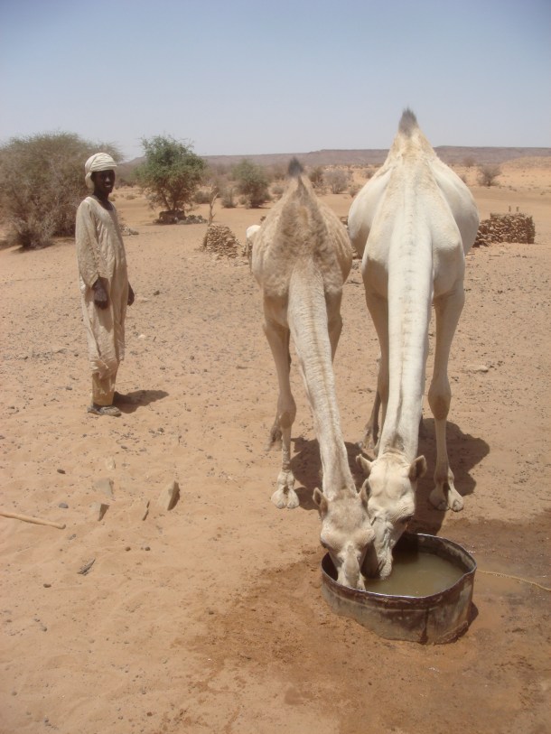 desert-well-used-by-nomads-sudan