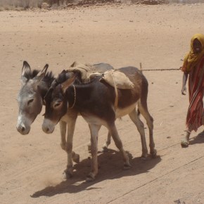 The Naqa Temple of Amun (And A Busy Desert Well Used By&nbsp;Nomads)