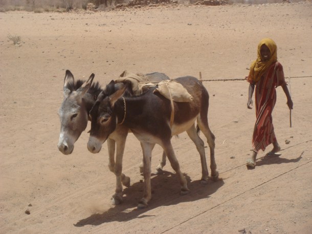 desert-well-used-by-nomads-sudan