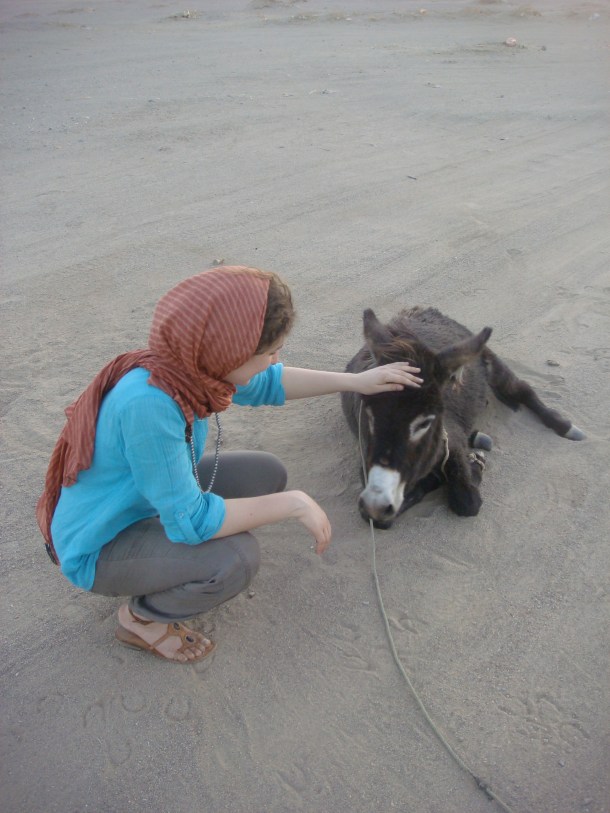 donkey-sudan