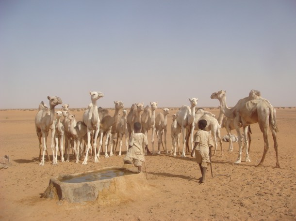 nomadic-well-sudan