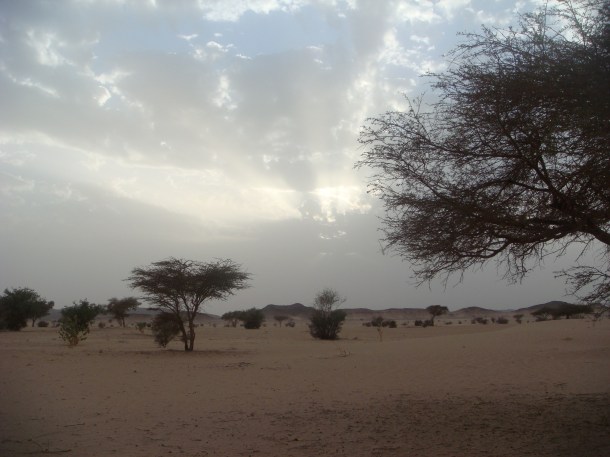 sudan-wilderness