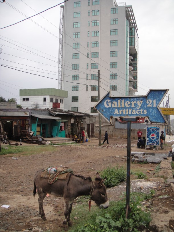 Donkey at Gallery 21 in Addis Ababa