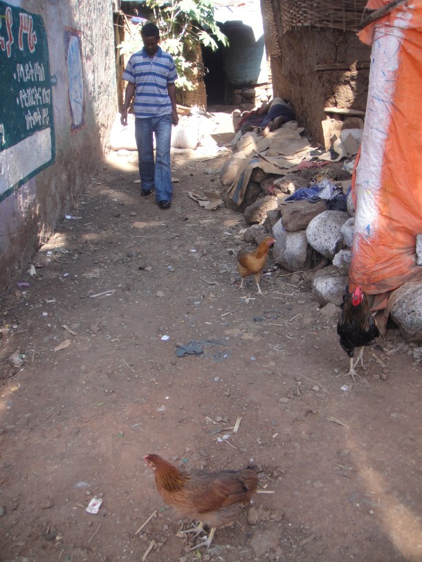 The streets of Bahir Dar