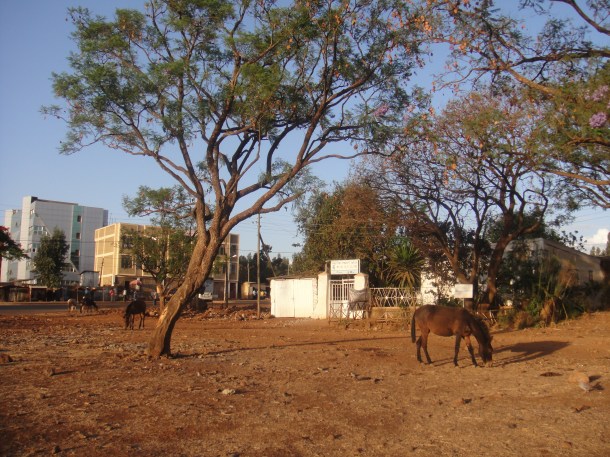 Bahir Dar 
