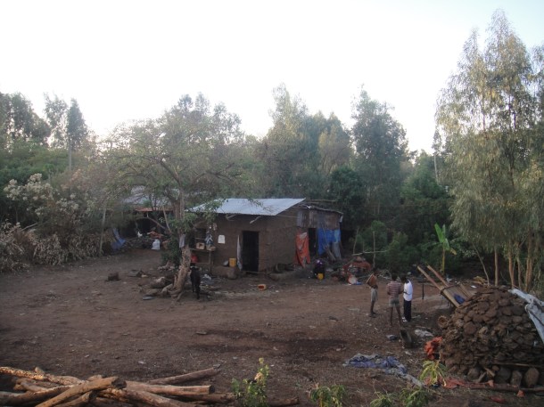 home at Bahir Dar cattle market