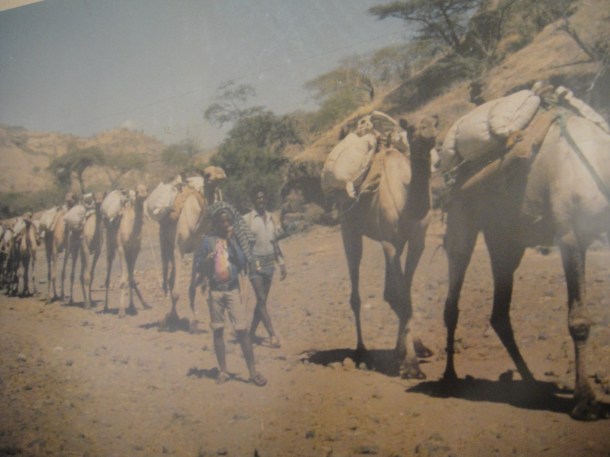 bahir dar war memorial (11) bahir dar war memorial