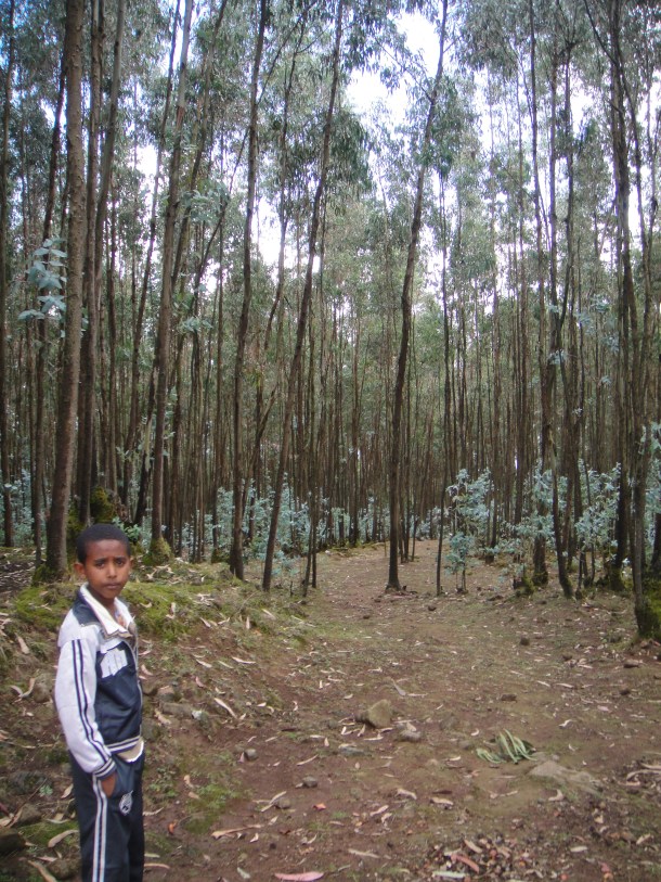 Outlaw's cave in Ethiopia