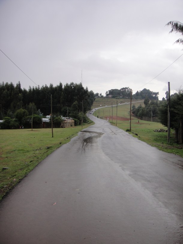 Ethiopian tree plantations