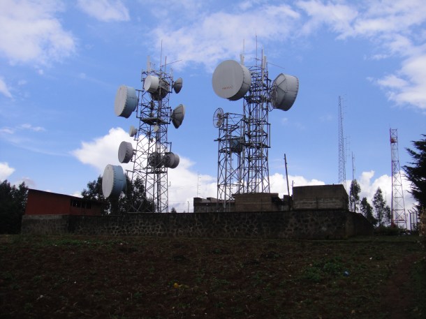 Ethiopian tree plantations