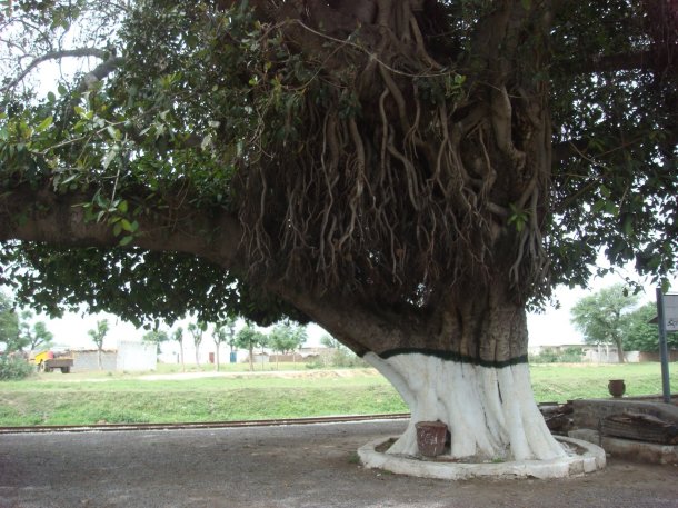 Golra-Railway-Museum-Pakistan-Railways