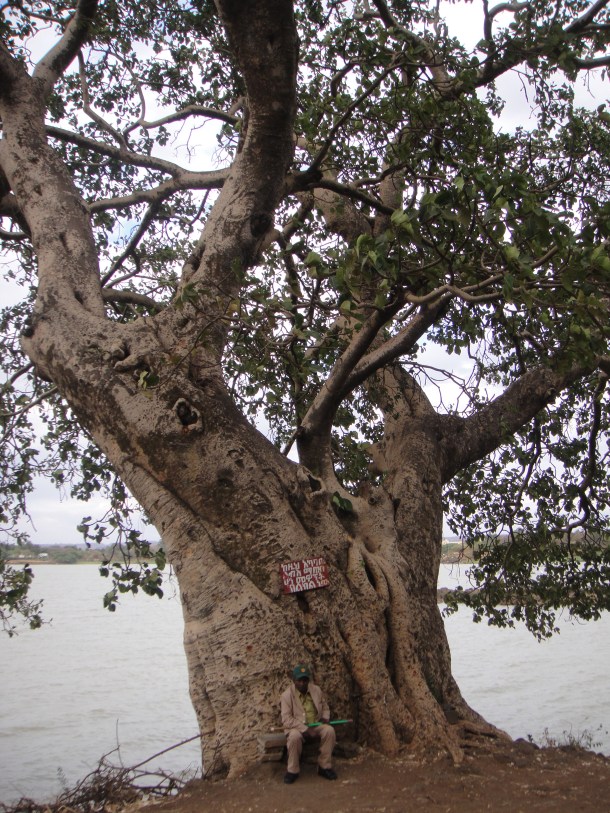 lake tana