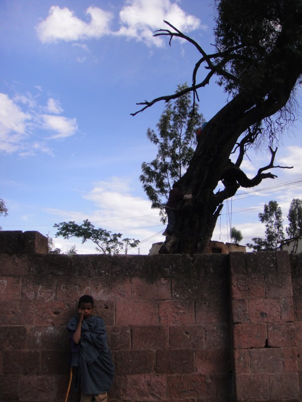 kid posing under tree in Lalibela