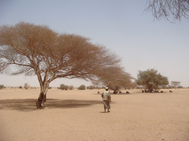 nomads-bayuda-desert-sudan