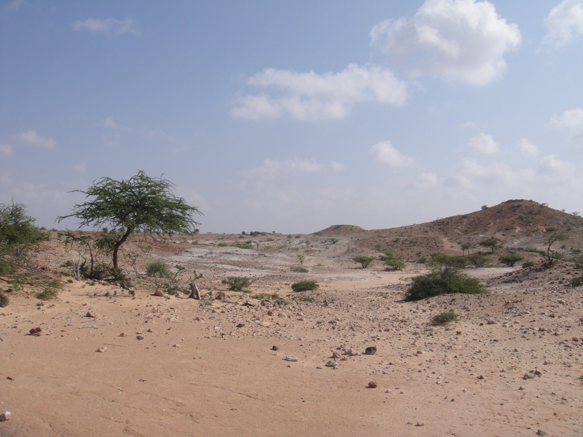 Somalia Desert