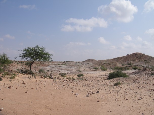 Somalia Desert