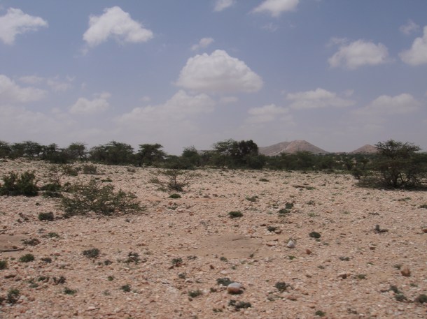 Somalia wildlands