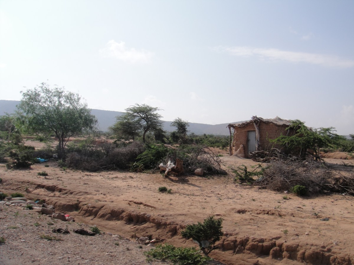 Crude homes in rural Somalia