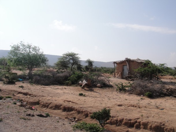 Crude homes in rural Somalia