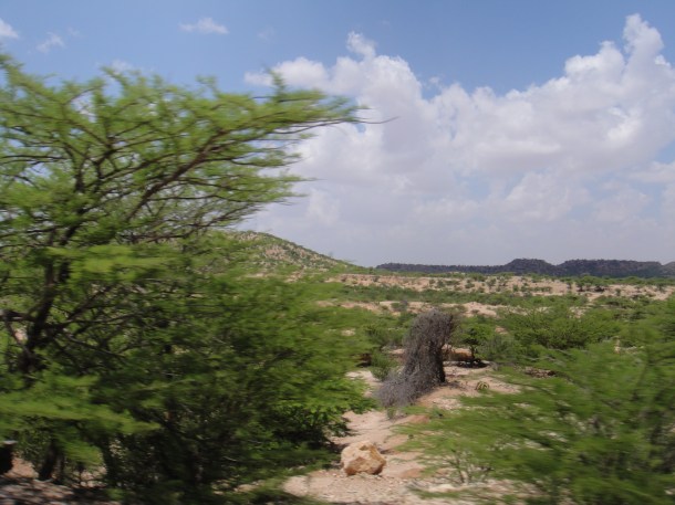 Somali wildlands - as green as it gets