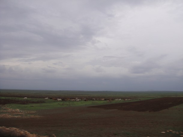 Fields surrounding Jijiga