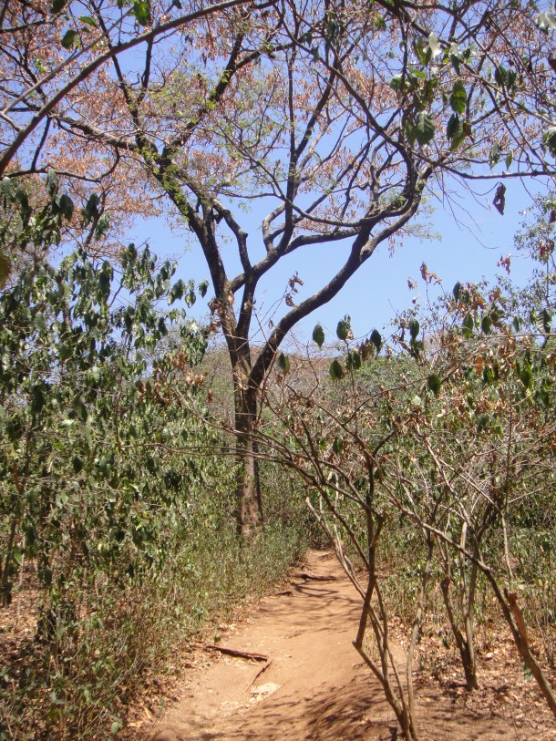 ura kidane mehiret peninsula