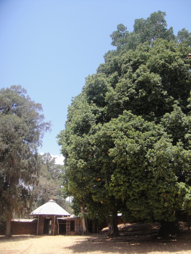 ura kidane mehiret grounds