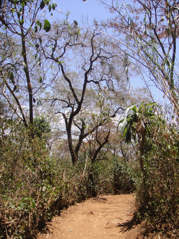 ura kidane mehiret trail