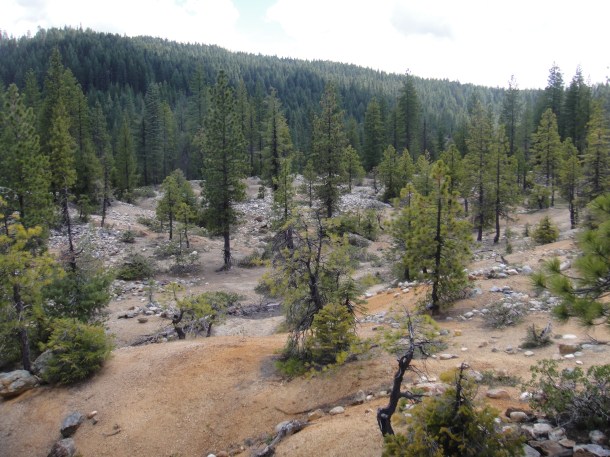 Port Wine California Ghost Town