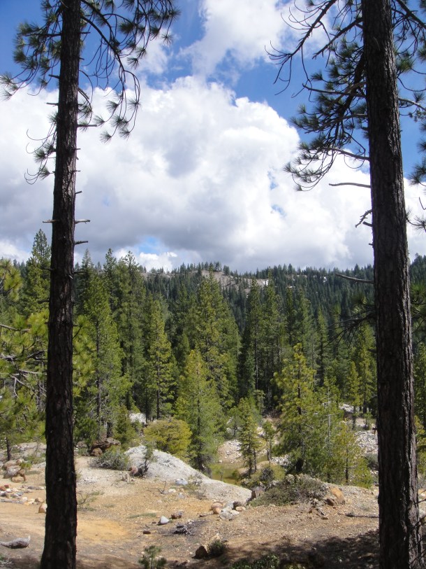 Port Wine California Ghost Town