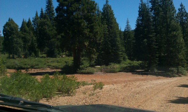 grass-flat-town-site