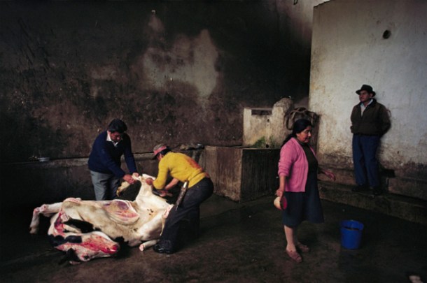 William Albert Allard, Woman in Pink Sweater, Slaughterhouse, Huancayo, 1981