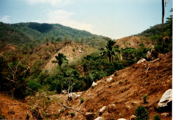 Mexico stripped hillsides
