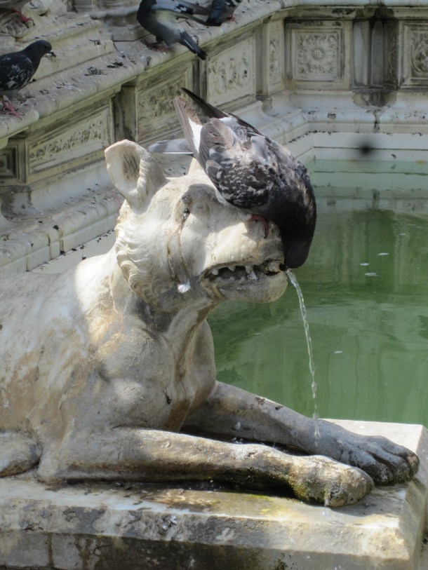 Fonte Gaia Siena